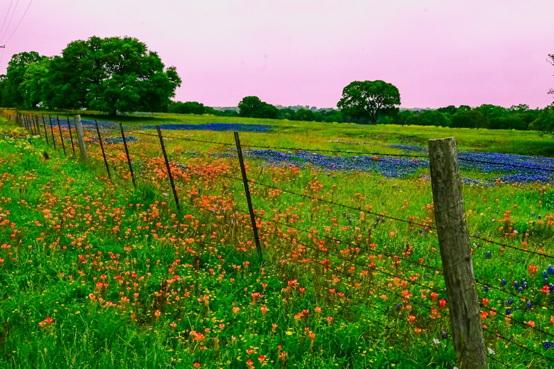 Nature-Based Experiences