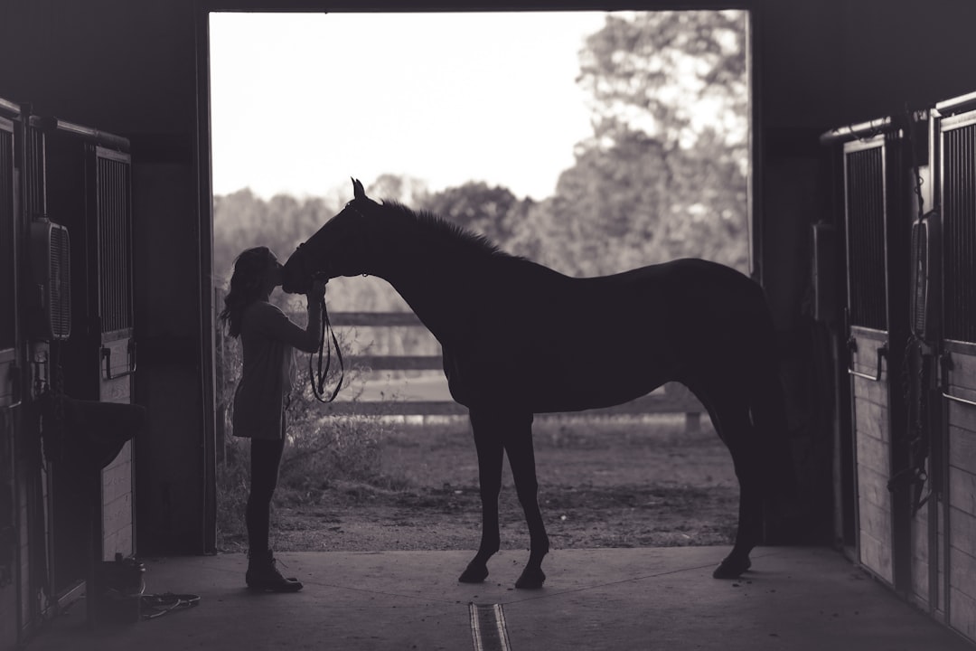 Horsemanship
